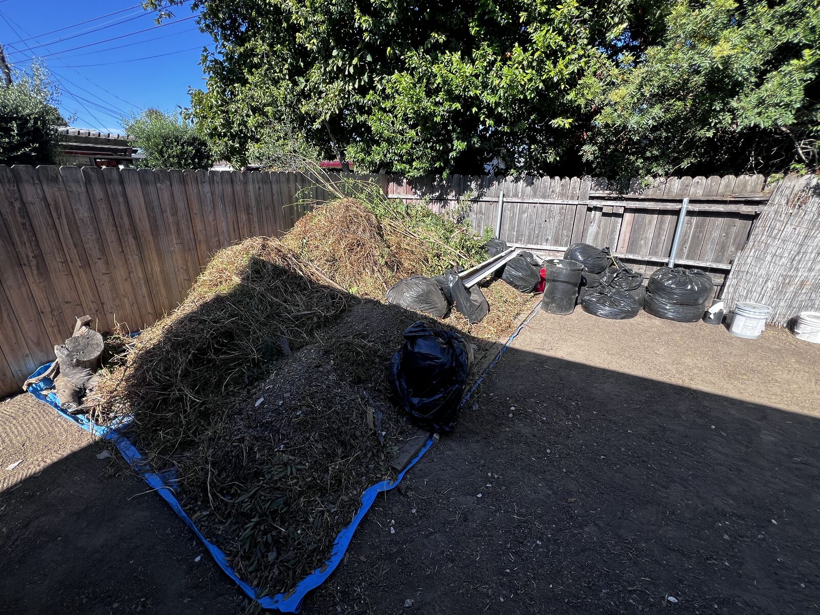 Backyard piled with yard waste and trimmed branches before cleanup